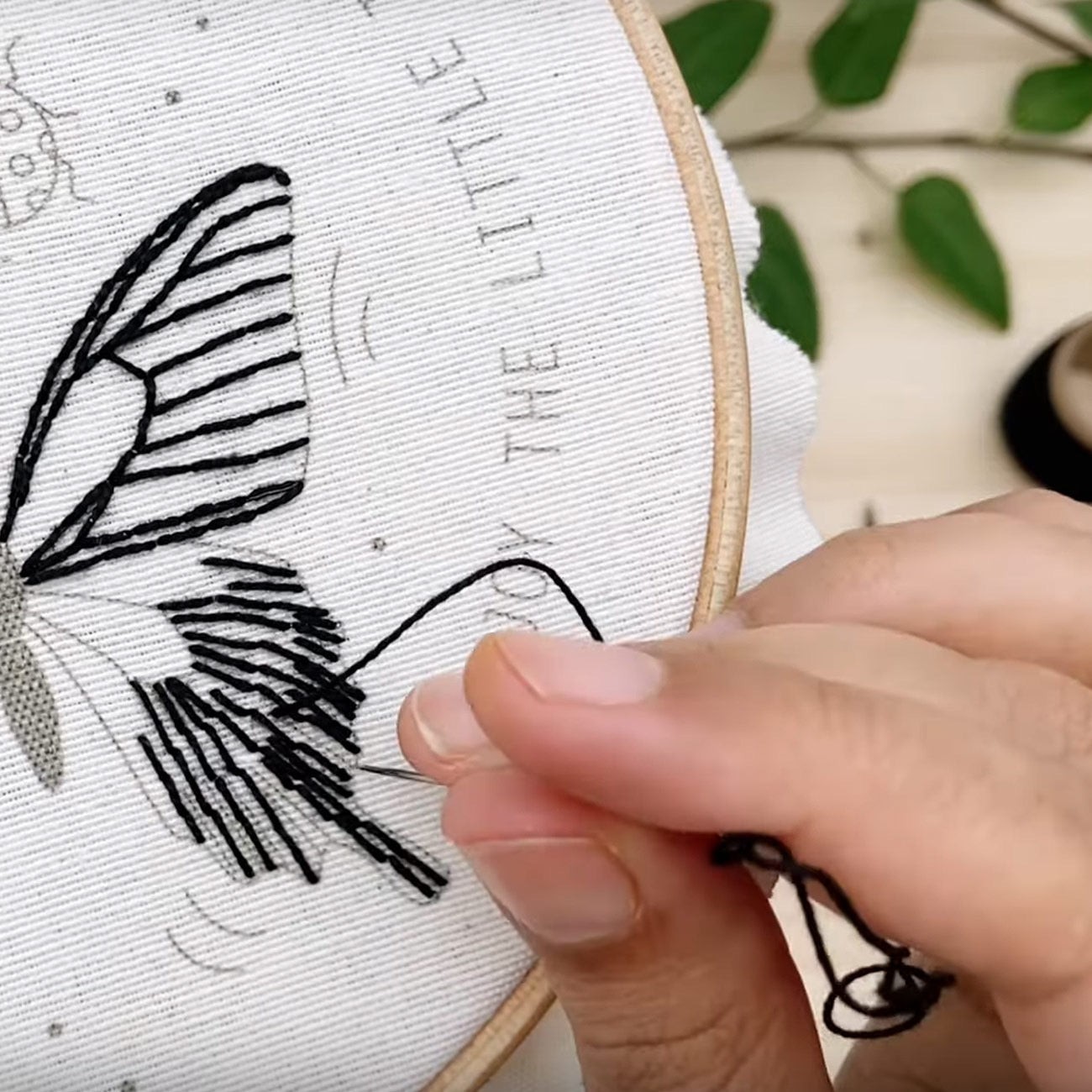 KIT Insectos