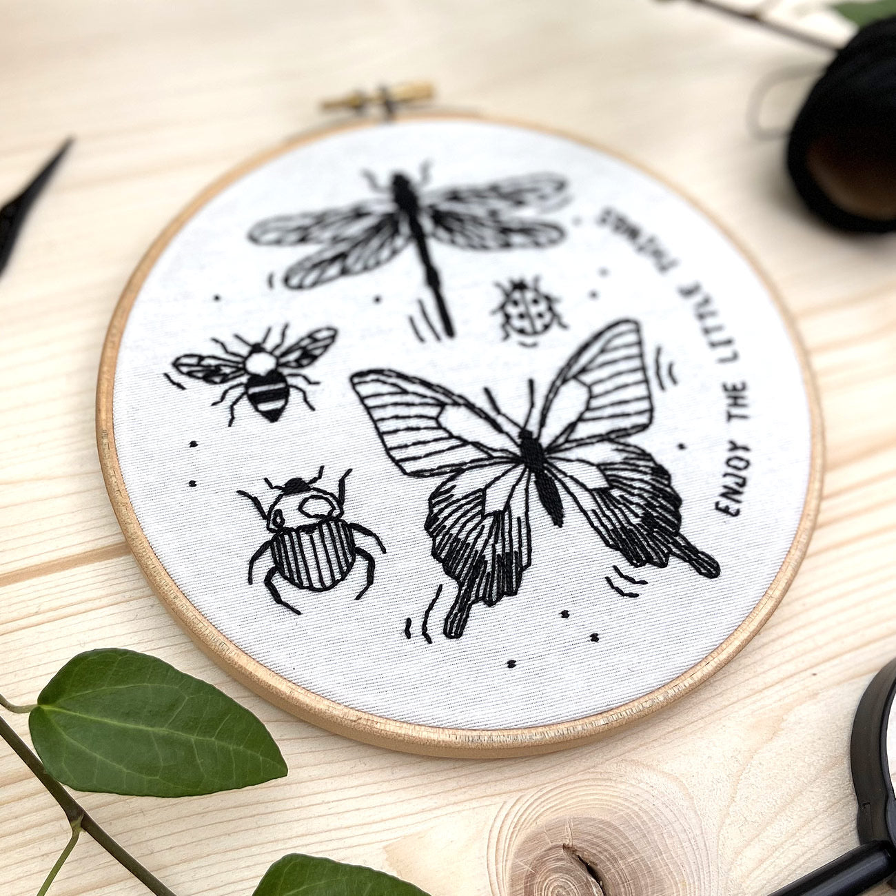 KIT Insectos