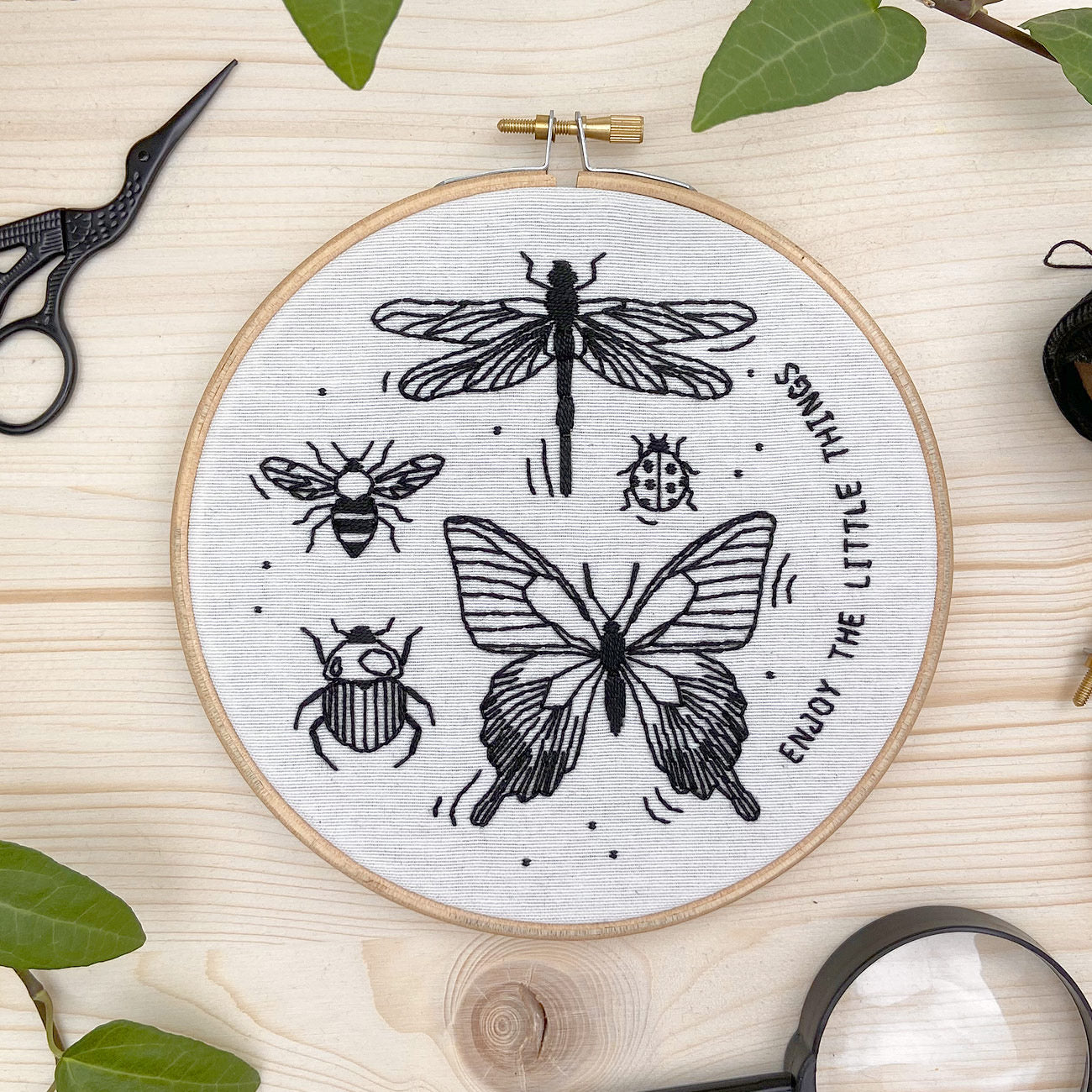 KIT Insectos